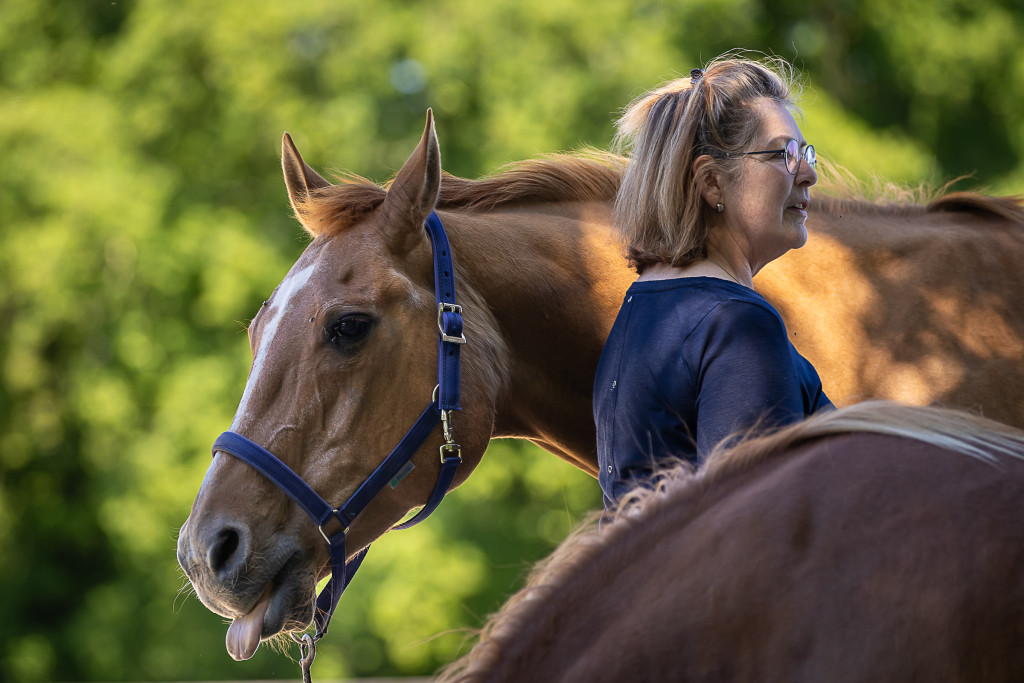 Horse coaching